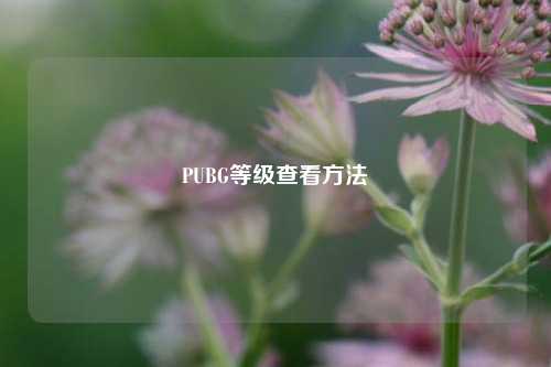 PUBG等级查看方法