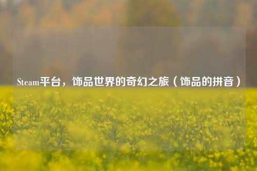 Steam平台,饰品世界的奇幻之旅(饰品的拼音)