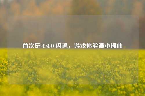 首次玩 CSGO 闪退,游戏体验遭小插曲