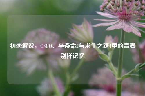 初恋解说,CSGO、半条命2与求生之路4里的青春别样记忆