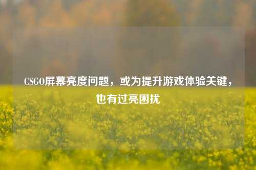 CSGO屏幕亮度问题，或为提升游戏体验关键，也有过亮困扰