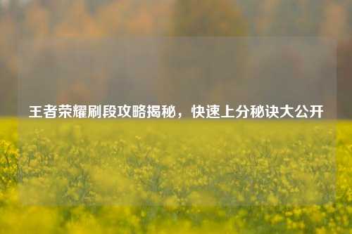 王者荣耀刷段攻略揭秘,快速上分秘诀大公开