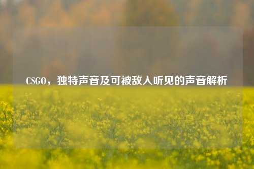 CSGO,独特声音及可被敌人听见的声音解析