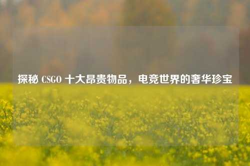 探秘 CSGO 十大昂贵物品,电竞世界的奢华珍宝