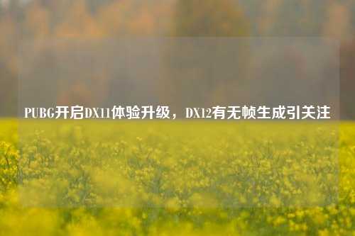 PUBG开启DX11体验升级，DX12有无帧生成引关注