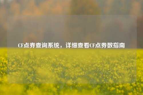 CF点券查询系统，详细查看CF点券数指南