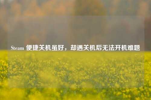 Steam 便捷关机虽好,却遇关机后无法开机难题