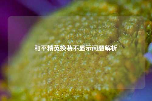 和平精英换装不显示问题解析
