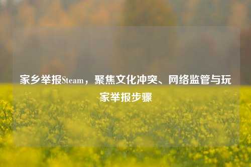 家乡举报Steam,聚焦文化冲突、网络监管与玩家举报步骤