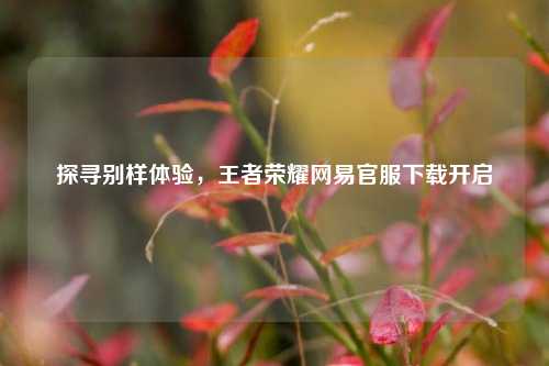 探寻别样体验,王者荣耀网易官服下载开启