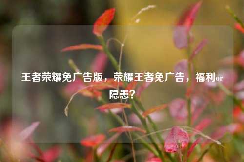 王者荣耀免广告版，荣耀王者免广告，福利or隐患？