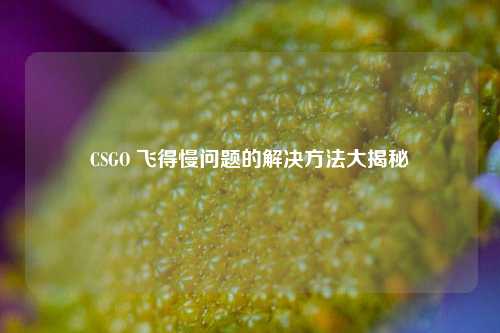CSGO 飞得慢问题的解决方法大揭秘