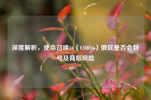 深度解析,使命召唤16(COD16)俄区是否会封号及背后风险