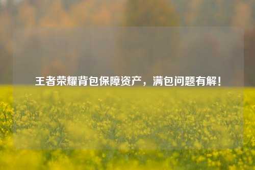 王者荣耀背包保障资产，满包问题有解！