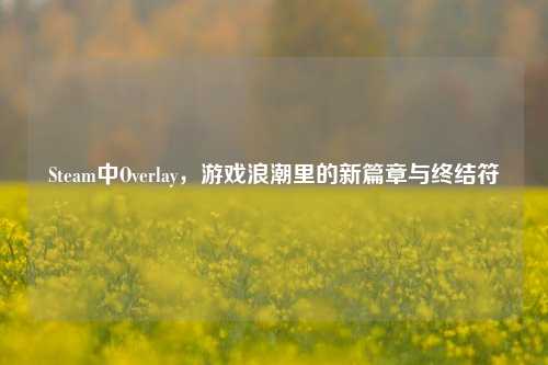 Steam中Overlay,游戏浪潮里的新篇章与终结符
