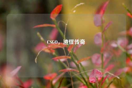 CSGO，渣怪传奇
