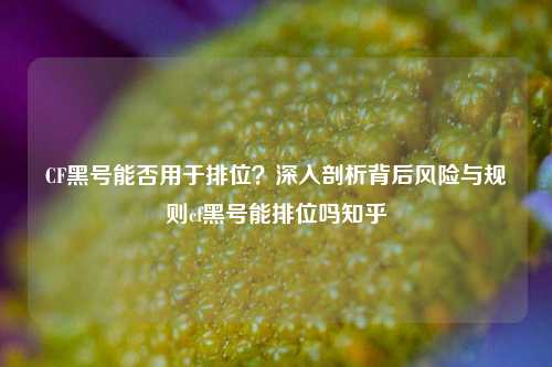 CF黑号能否用于排位？深入剖析背后风险与规则cf黑号能排位吗知乎