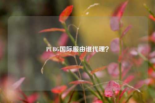 PUBG国际服由谁代理?