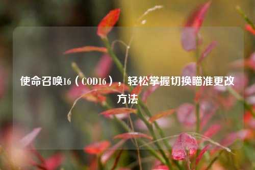 使命召唤16（COD16），轻松掌握切换瞄准更改方法