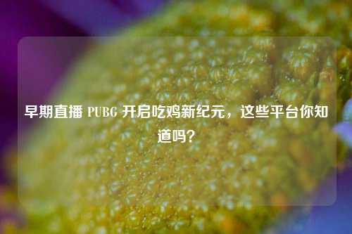 早期直播 PUBG 开启吃鸡新纪元，这些平台你知道吗？