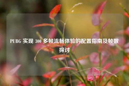 PUBG 实现 300 多帧流畅体验的配置指南及帧数探讨