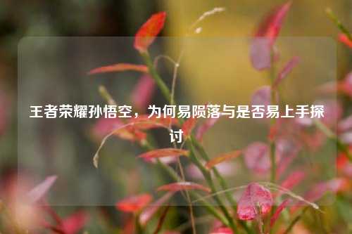 王者荣耀孙悟空，为何易陨落与是否易上手探讨