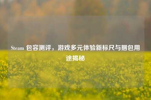 Steam 包容测评，游戏多元体验新标尺与捆包用途揭秘