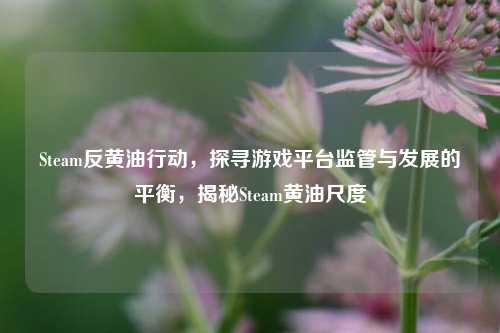 Steam反黄油行动,探寻游戏平台监管与发展的平衡,揭秘Steam黄油尺度