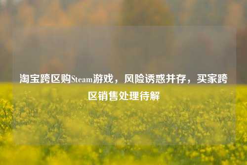 淘宝跨区购Steam游戏,风险诱惑并存,买家跨区销售处理待解