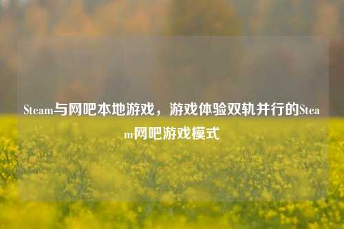 Steam与网吧本地游戏,游戏体验双轨并行的Steam网吧游戏模式