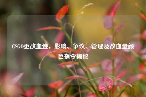 CSGO更改血迹，影响、争议、管理及改血量颜色指令揭秘