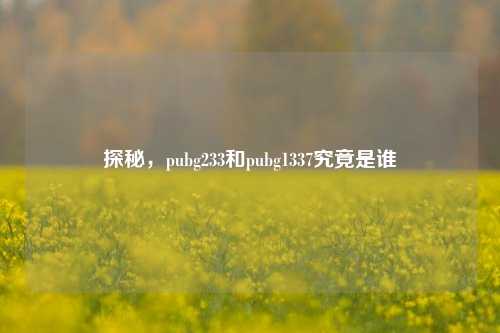 探秘,pubg233和pubg1337究竟是谁