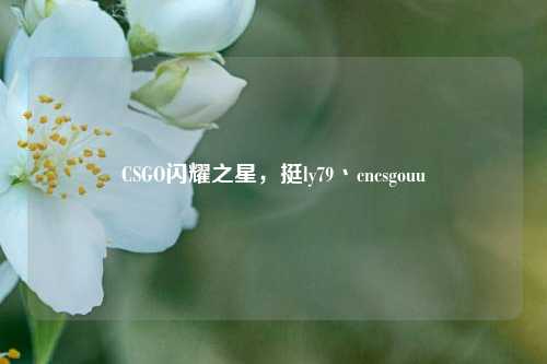 CSGO闪耀之星,挺ly79丶cncsgouu