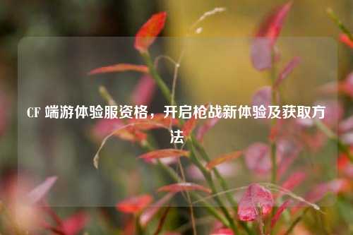 CF 端游体验服资格,开启枪战新体验及获取方法