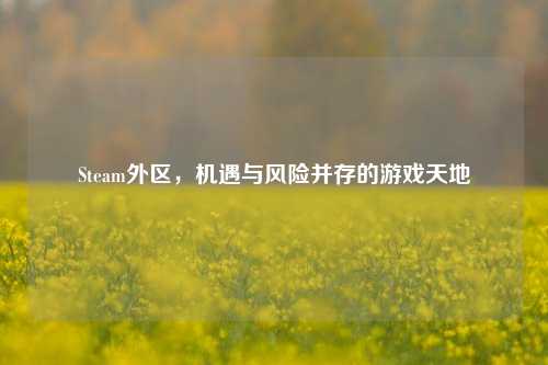 Steam外区,机遇与风险并存的游戏天地