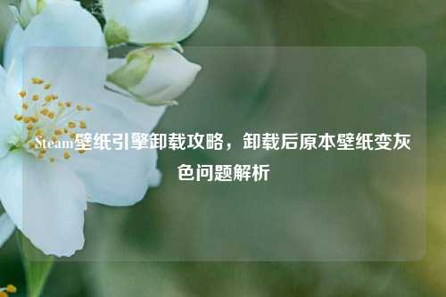 Steam壁纸引擎卸载攻略，卸载后原本壁纸变灰色问题解析