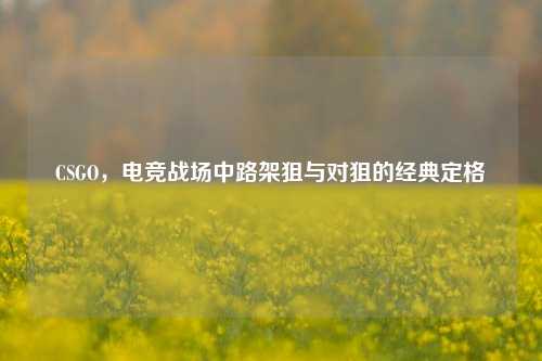 CSGO，电竞战场中路架狙与对狙的经典定格
