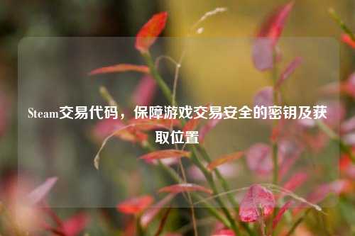 Steam交易代码,保障游戏交易安全的密钥及获取位置