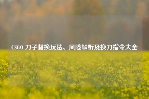 CSGO 刀子替换玩法、风险解析及换刀指令大全