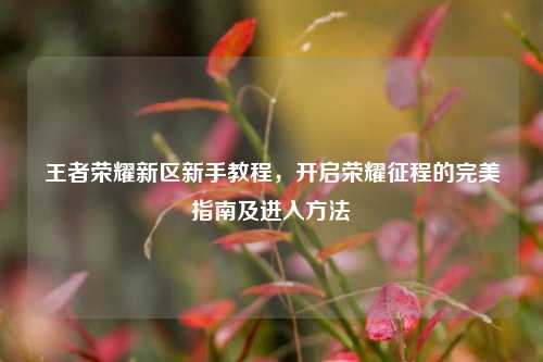 王者荣耀新区新手教程，开启荣耀征程的完美指南及进入方法