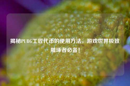 揭秘PUBG工匠代币的使用方法,游戏世界极致雕琢者必备!