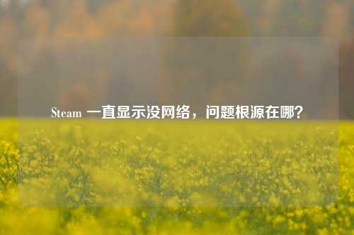 Steam 一直显示没网络，问题根源在哪？