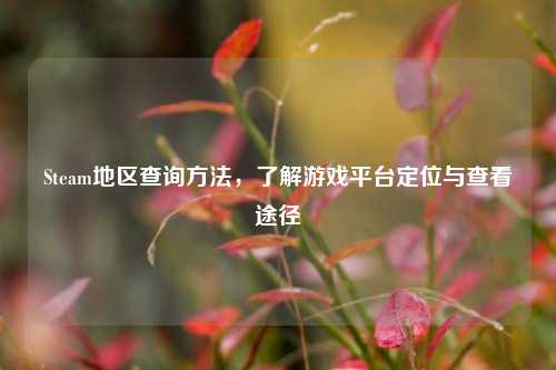 Steam地区查询方法，了解游戏平台定位与查看途径
