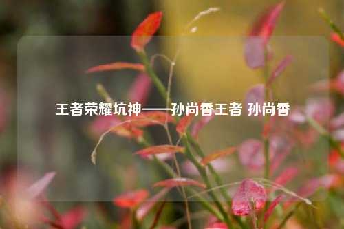 王者荣耀坑神——孙尚香王者 孙尚香