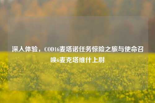 深入体验，COD16麦塔诺任务惊险之旅与使命召唤6麦克塔维什上尉