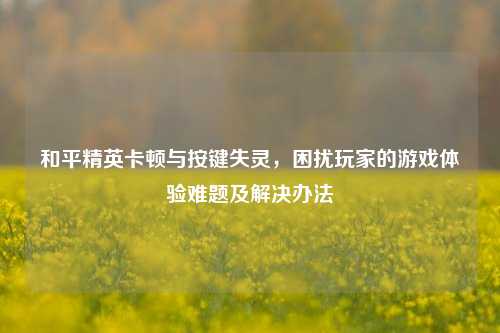 和平精英卡顿与按键失灵,困扰玩家的游戏体验难题及解决办法