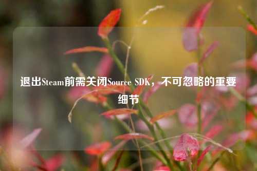 退出Steam前需关闭Source SDK，不可忽略的重要细节