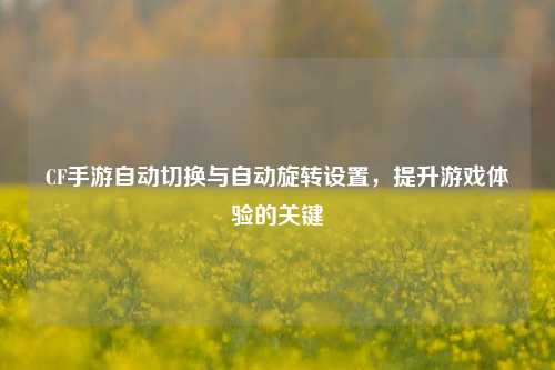 CF手游自动切换与自动旋转设置，提升游戏体验的关键