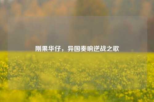刚果华仔,异国奏响逆战之歌