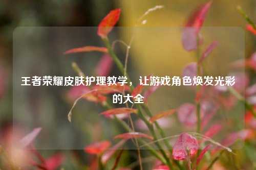 王者荣耀皮肤护理教学，让游戏角色焕发光彩的大全